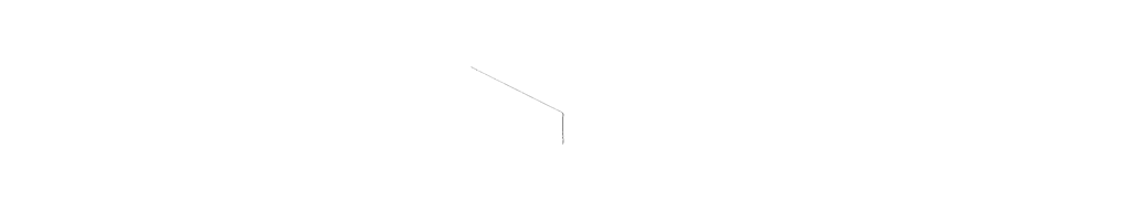 White Master Carpet Logo