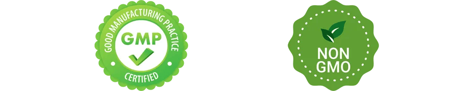 Gluco6 Review : clinically tested, GMP certified, Made in U.S. , NOM GMO, Natural Ingredient