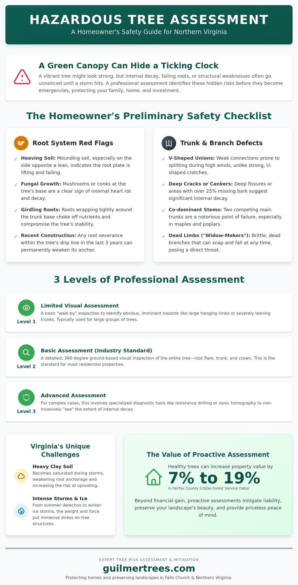 Infographic on hazardous tree assessment in Falls Church, VA with a safety checklist for local homeowners.