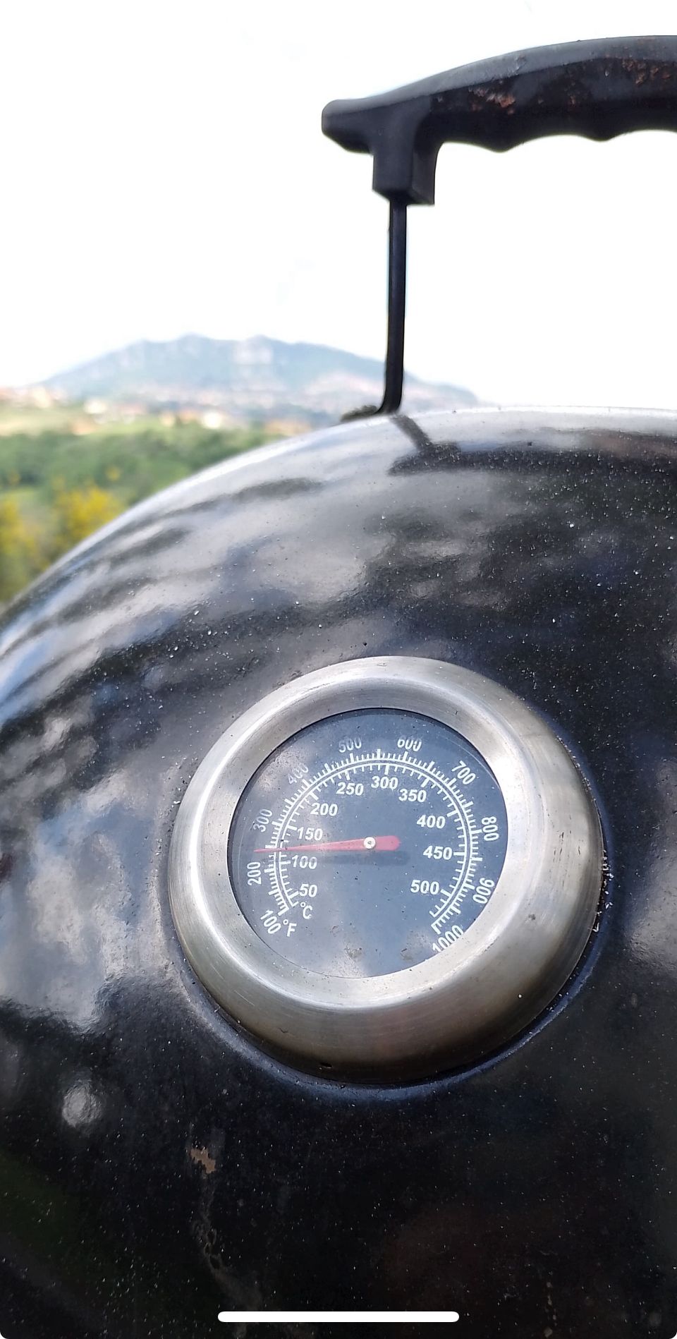 Weber Kettle termometro