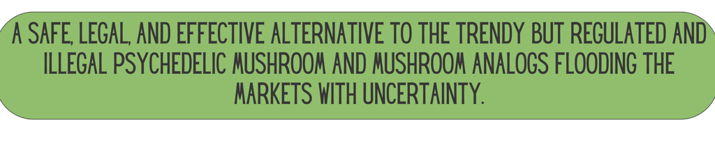 Mane Brain™ offers premium mushroom-based wellness products designed to support focus, memory,.