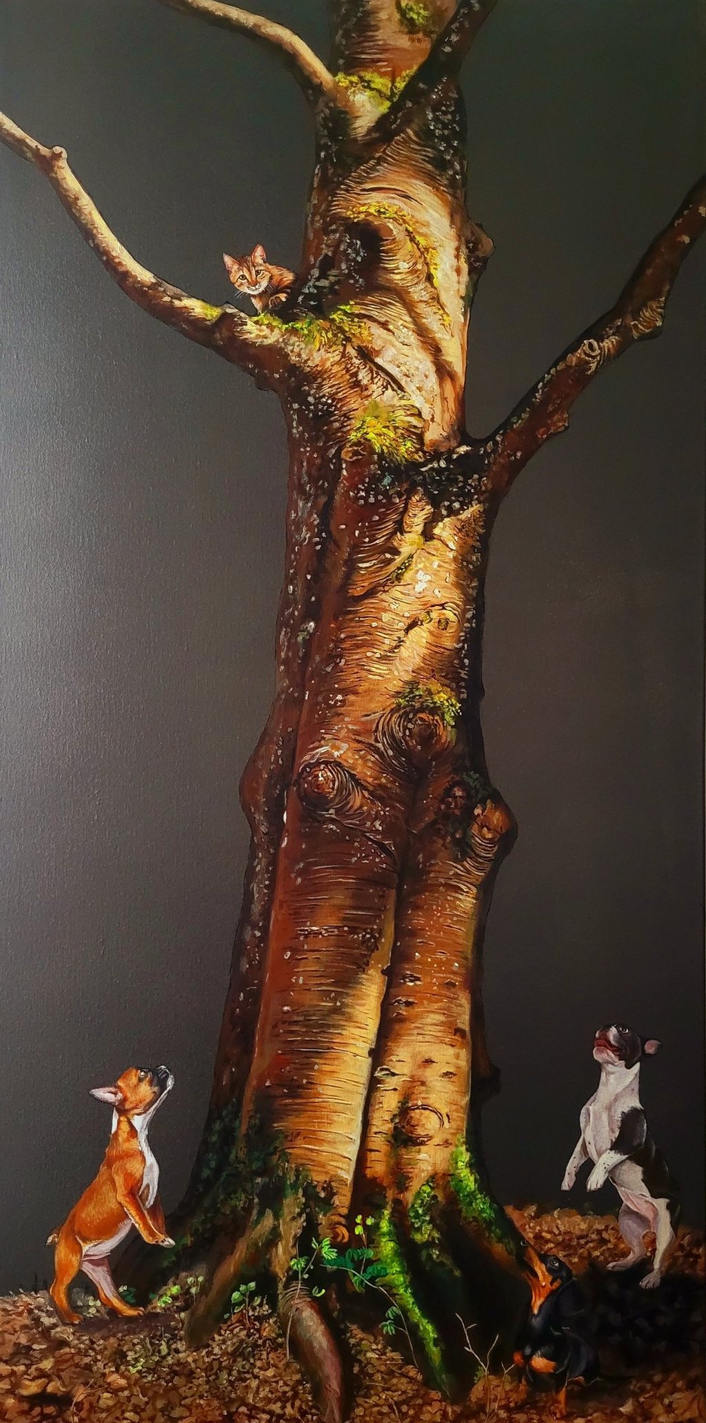 Álvaro Fernández Sáez Hunde Baum Katze Jagd