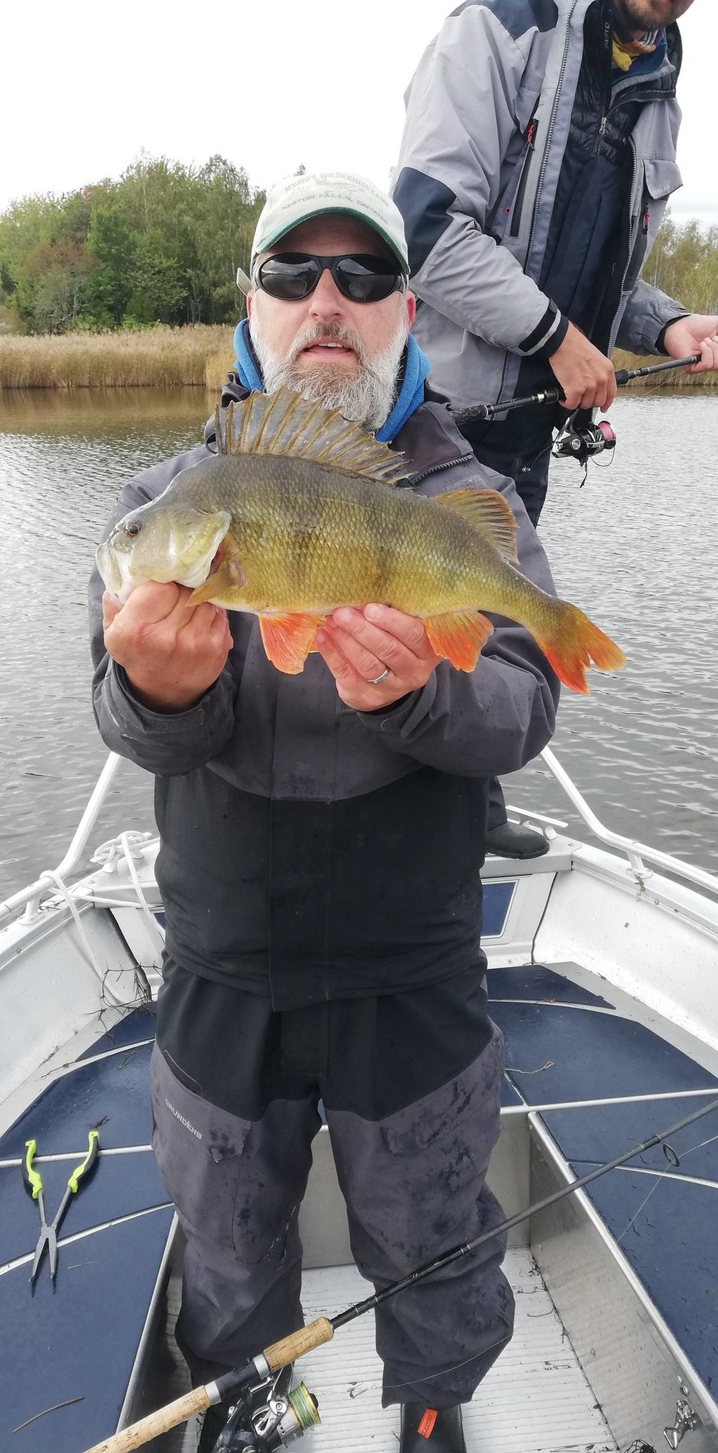 En fiskare är på en båt i Sverige, han fick en fin abborre tack vare fiskeflykt Sverige.