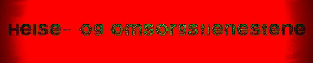 Statsforvalteren Helse, omsorg og sosialtjenester,Sofie Scott, Sara Cecilie Wilhelmsen Solheim,Hanne