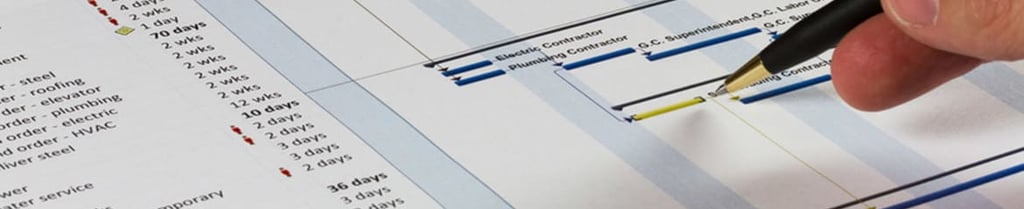 Primavera Scheduling Services