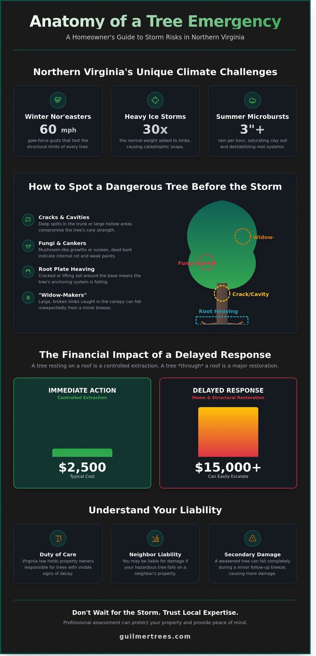 nfographic on emergency tree service in Northern Virginia with expert storm response guidance for homeowners.