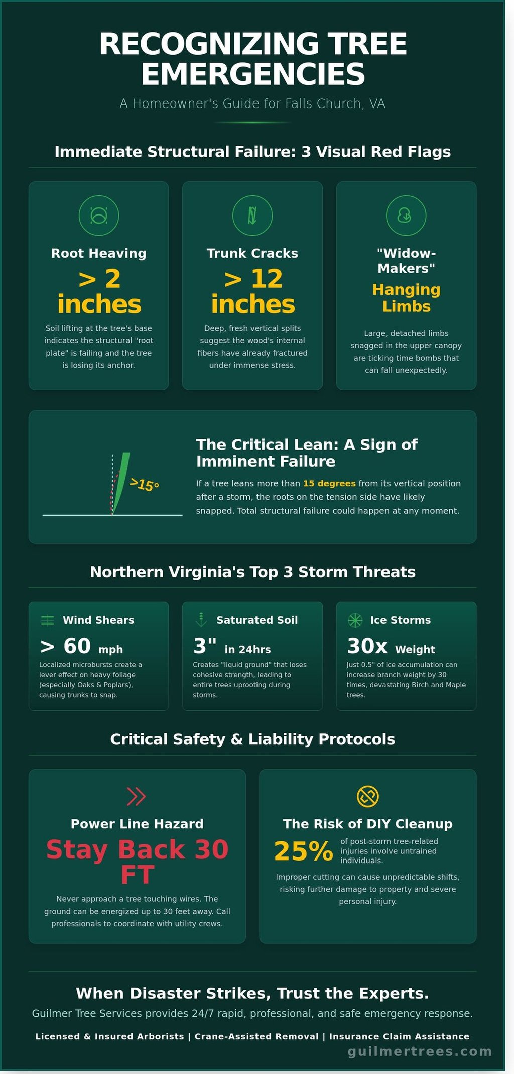 Infographic for homeowners in Falls Church, VA showing how to recognize tree emergencies and stay safe.