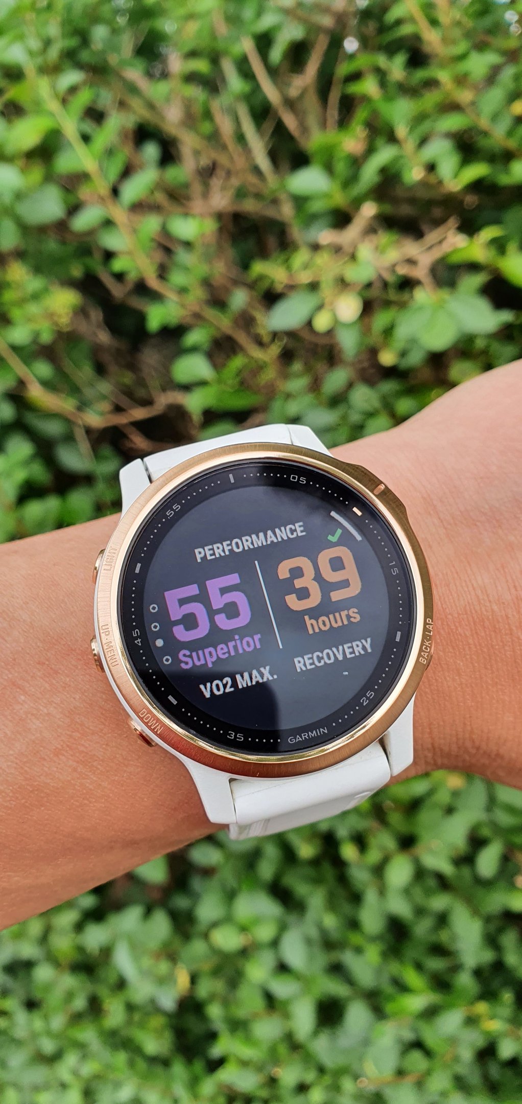 a smart watch with a gps - enabled activity - Garmin Fenix 6s Pro