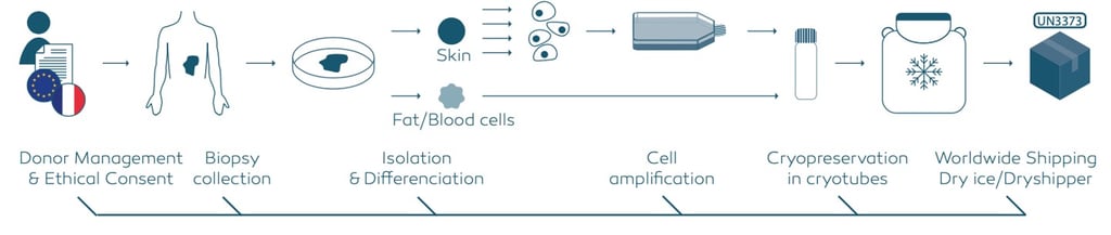 CTIBIOTECH biobank biosourcing uses advanced laboratory procedures