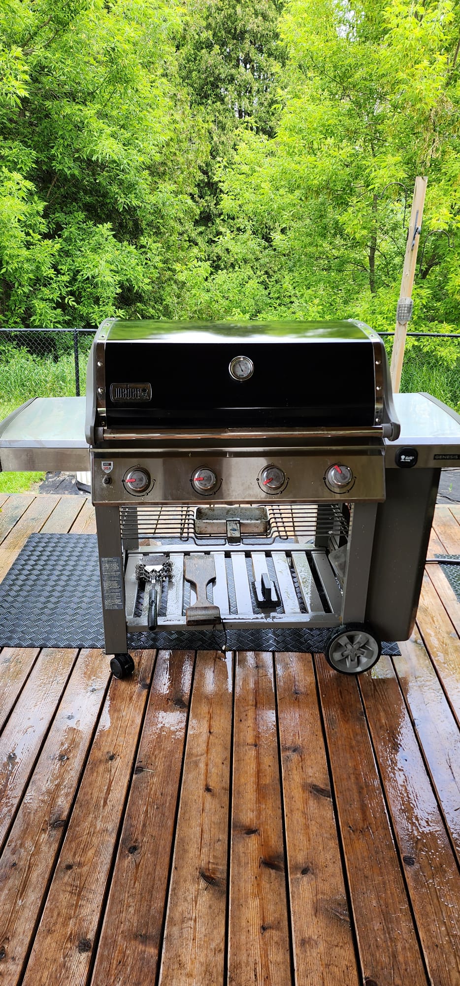 Weber Grill Professionally cleaned in Durham, Brooklin, Pickering, Whitby, Oshawa 