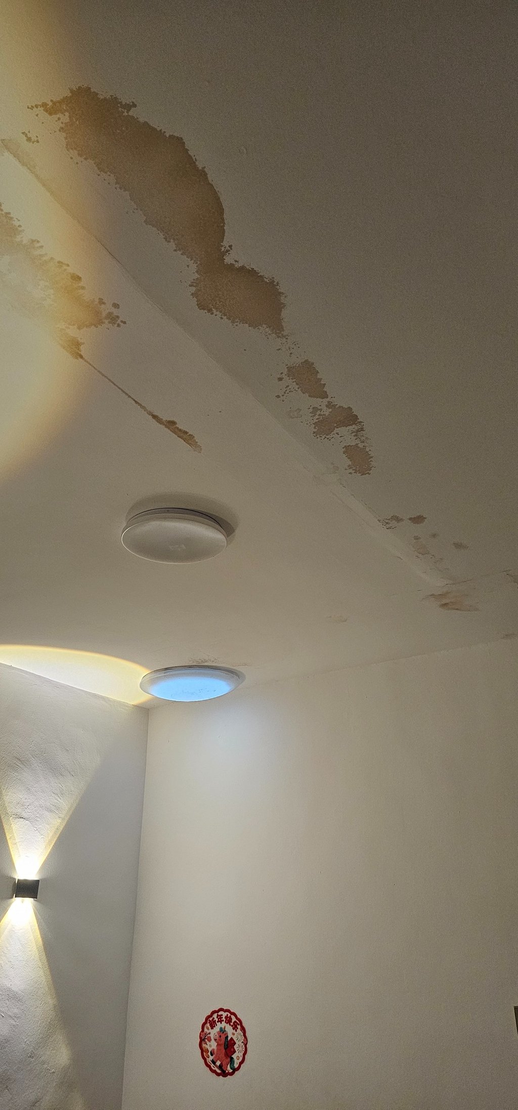 Ceiling water seepage repair Waterproofing contractor singapore