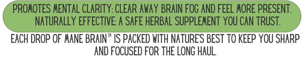 Mane Brain™ offers premium mushroom-based wellness products designed to support focus, memory,.