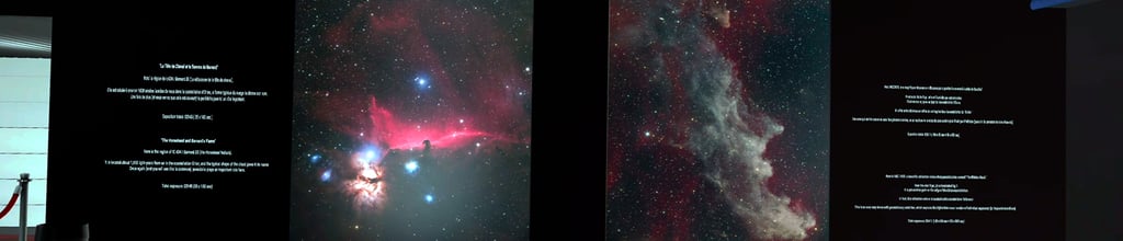 Regarder la vidéo de présentation de l'exposition