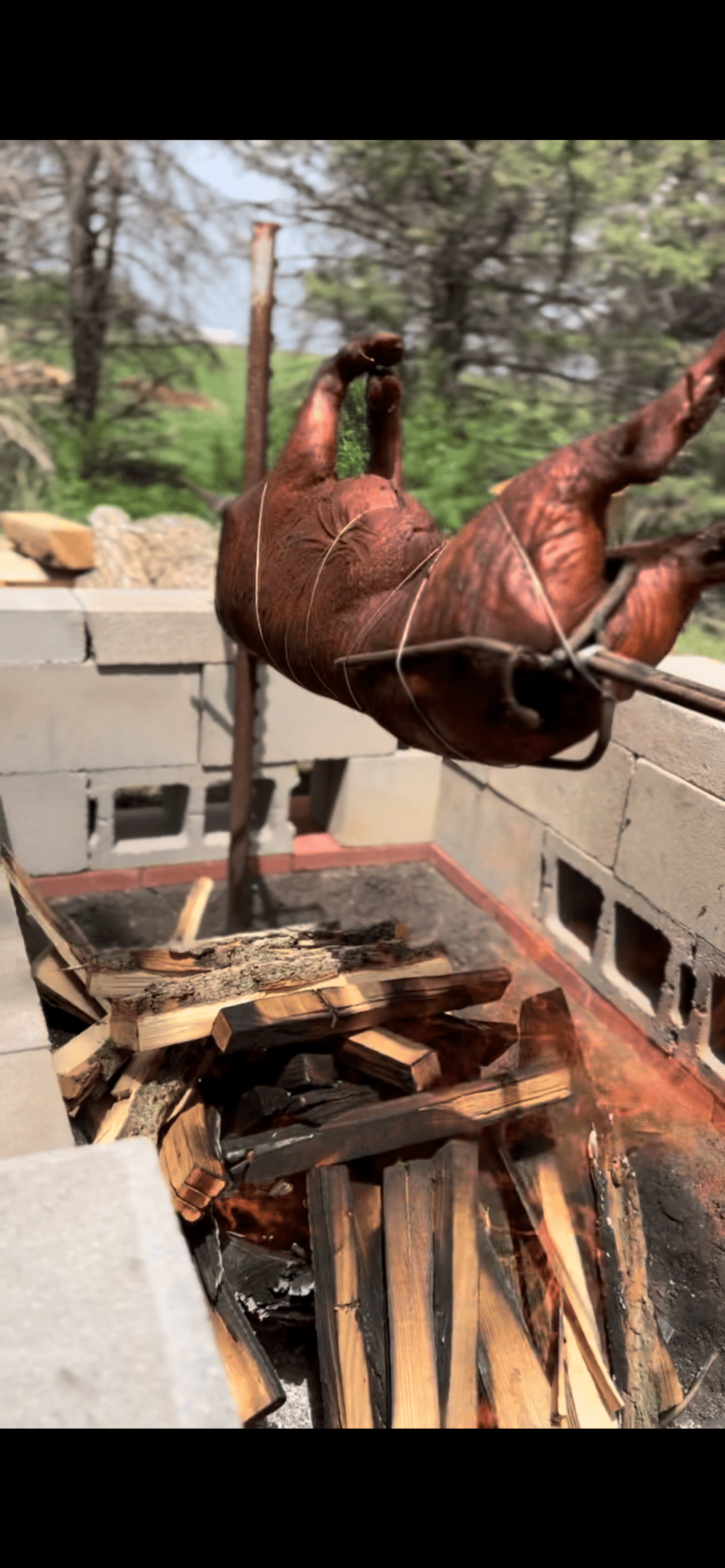 a pig roasting on a spit over an open fire