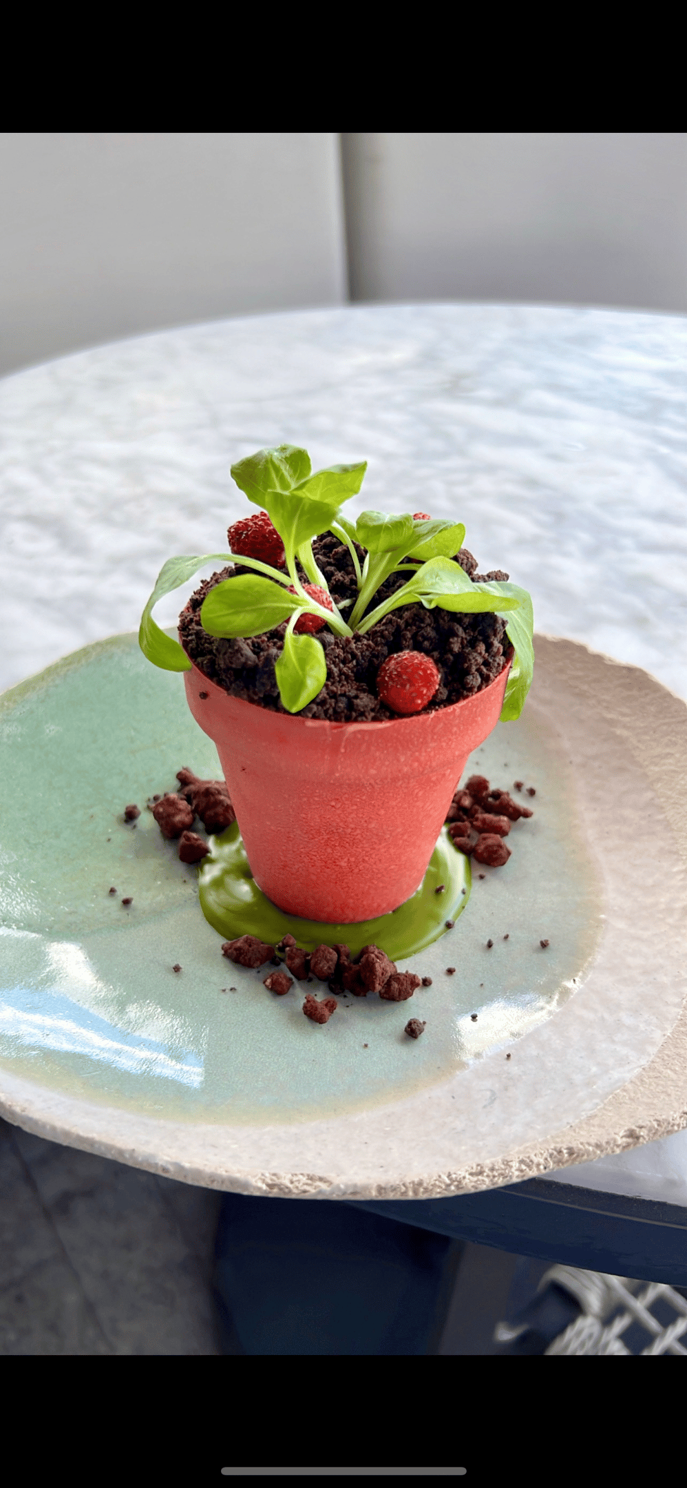 a dessert  that looks like a flower pot