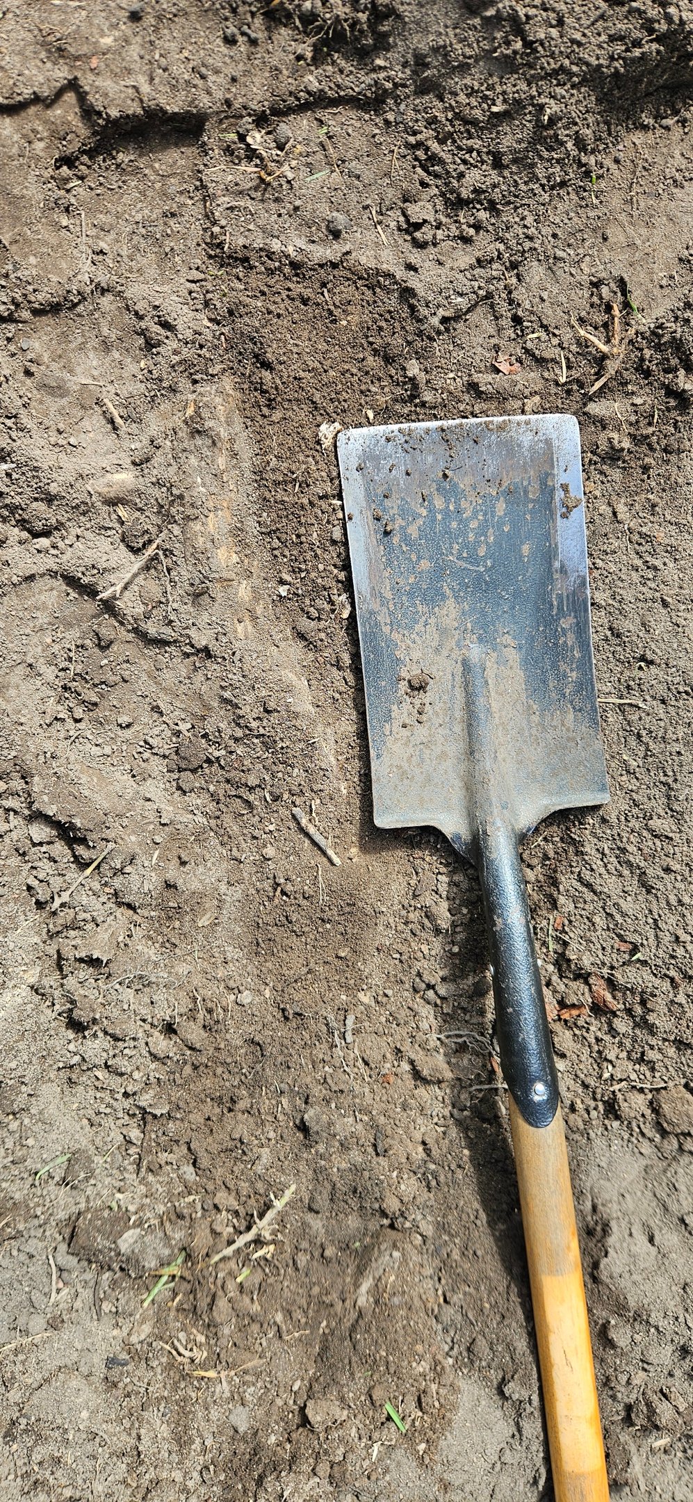 Garden renovation, Landscaping