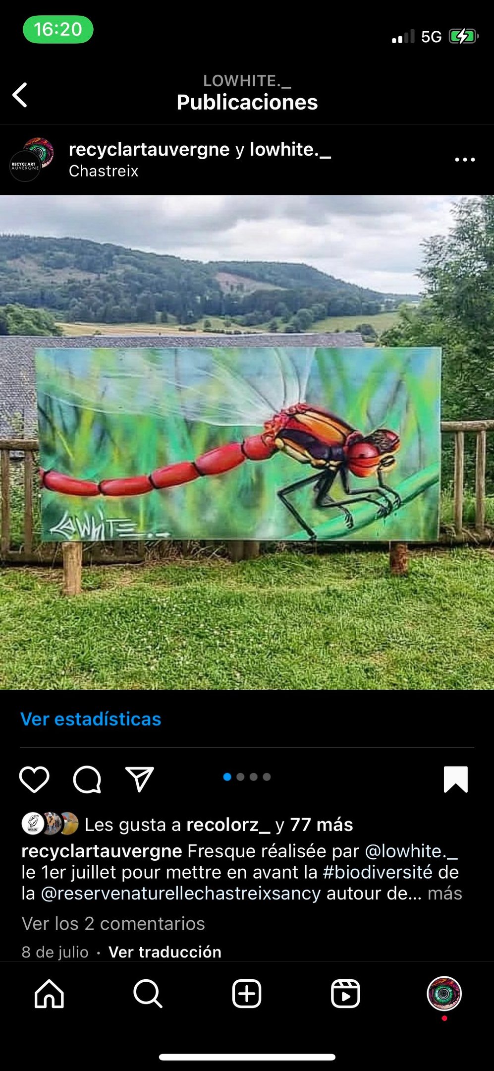 un peinture d'une libellule rouge