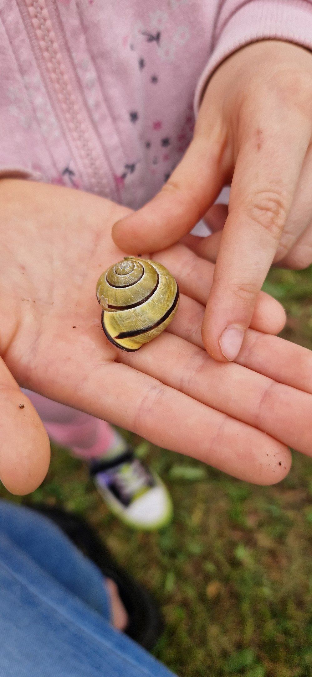 Mus supančios gyvūnijos atradimas