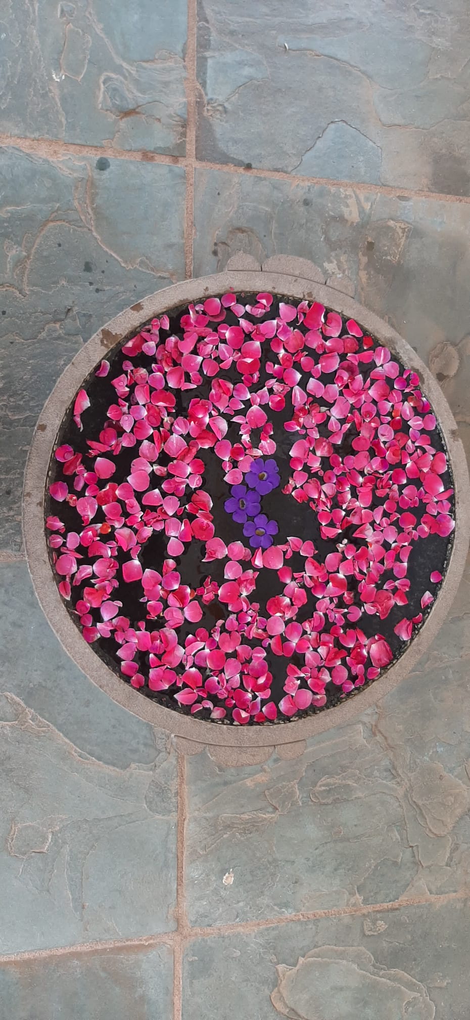 Integrale Yogische Psychologie – Ausbildung für eine neue Zeit-Jahr 1