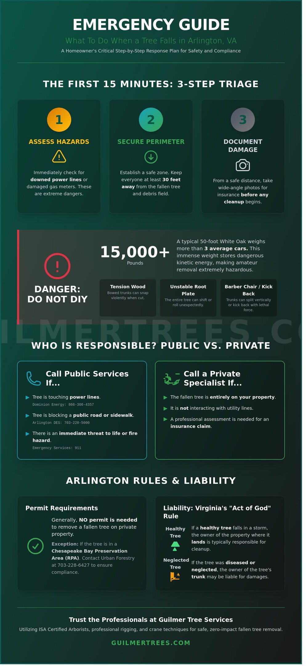Infographic on fallen tree removal in Arlington, VA with steps from a homeowner’s complete action guide.