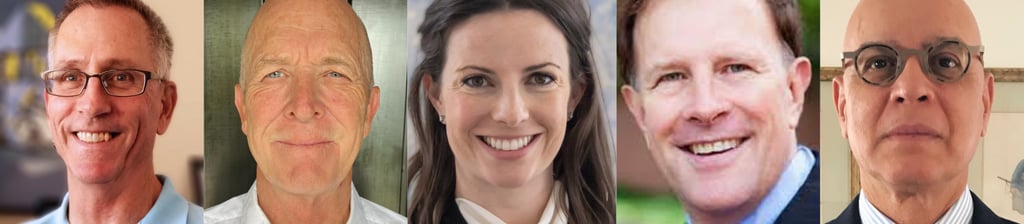 Picture of Avivid's 5 advisors: four men and one woman.