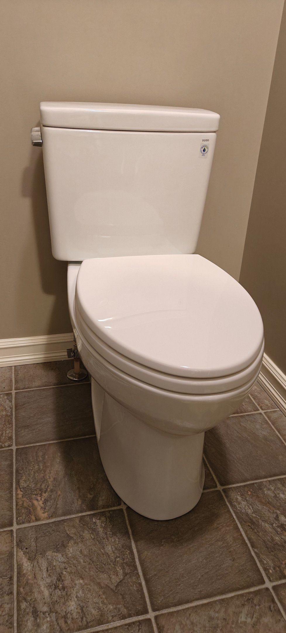 Toilet Replacement