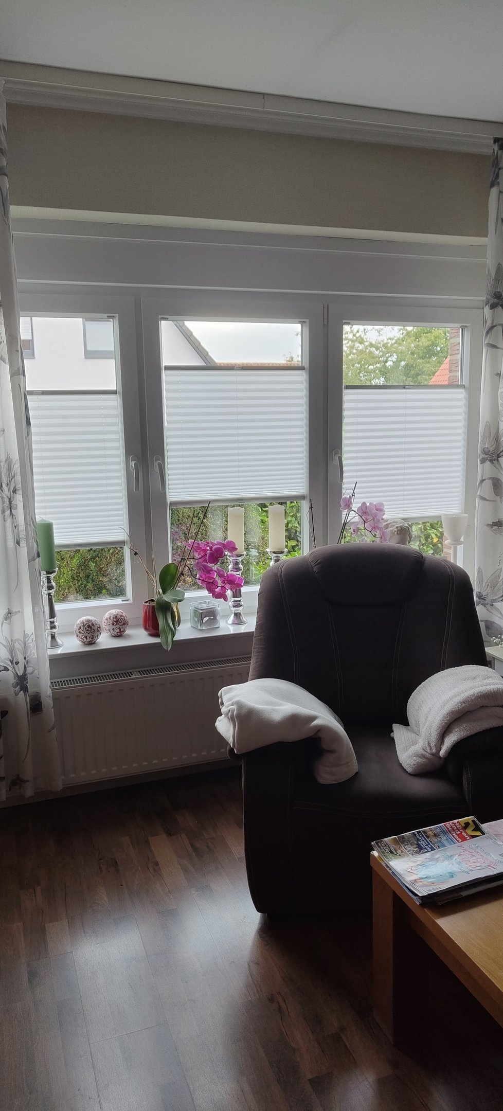 Plissee Transparent und Lichtdurchlässig