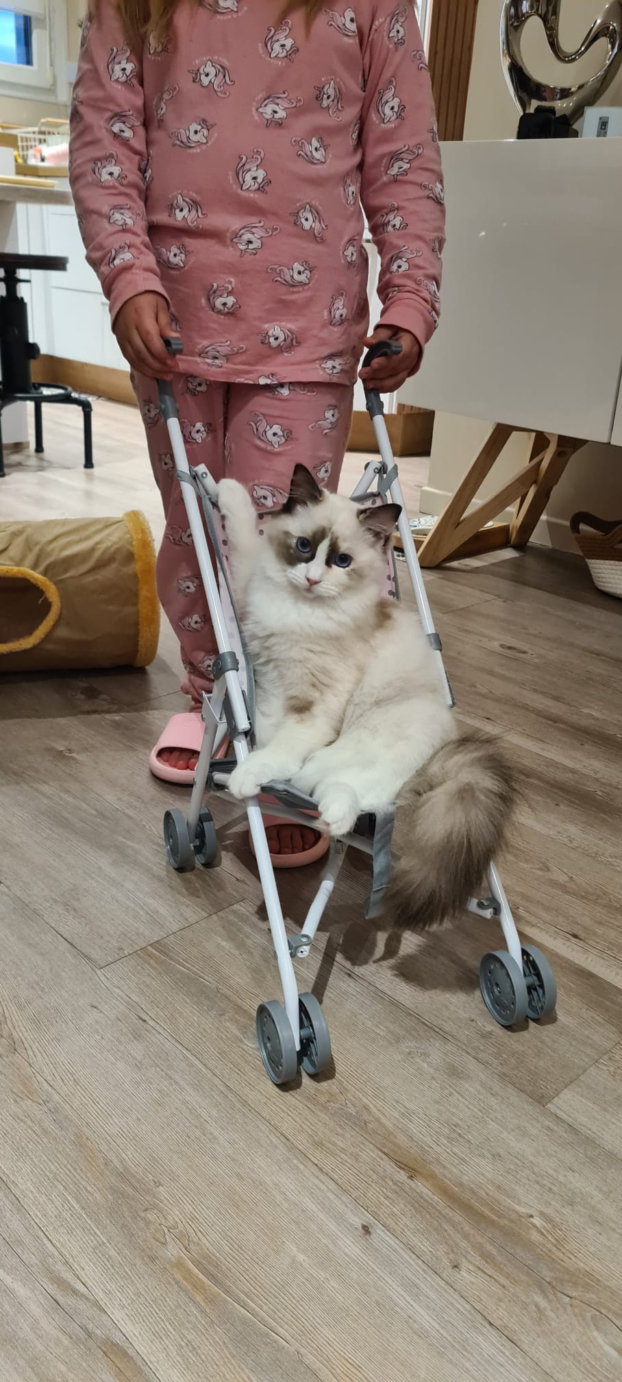 Valentine (Plume) des Dolls de Mitilo