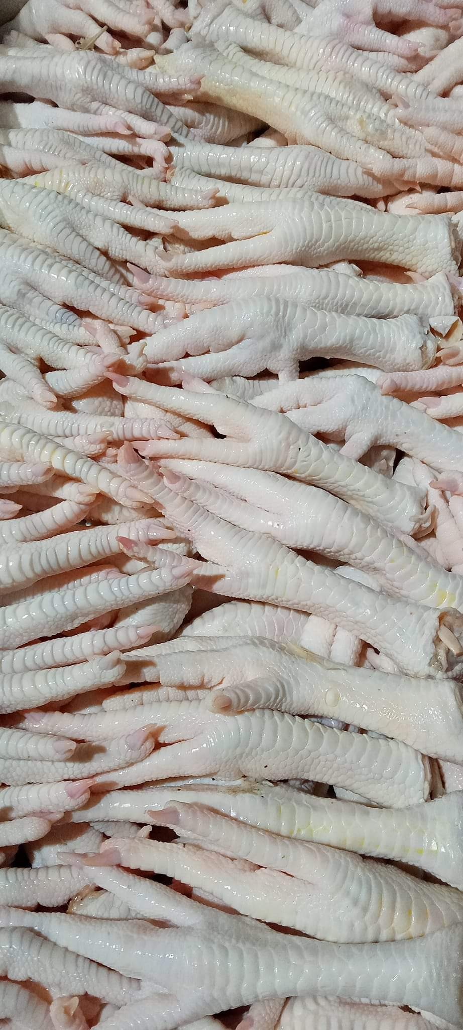 Chicken feet Exports by DGT