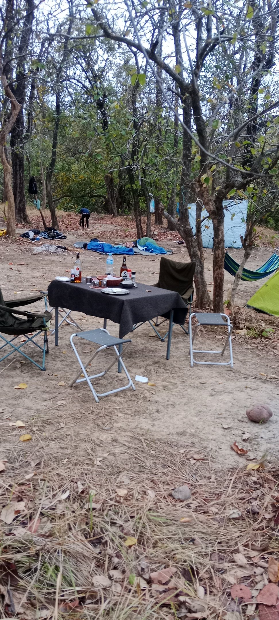 picnic in Bardiya park