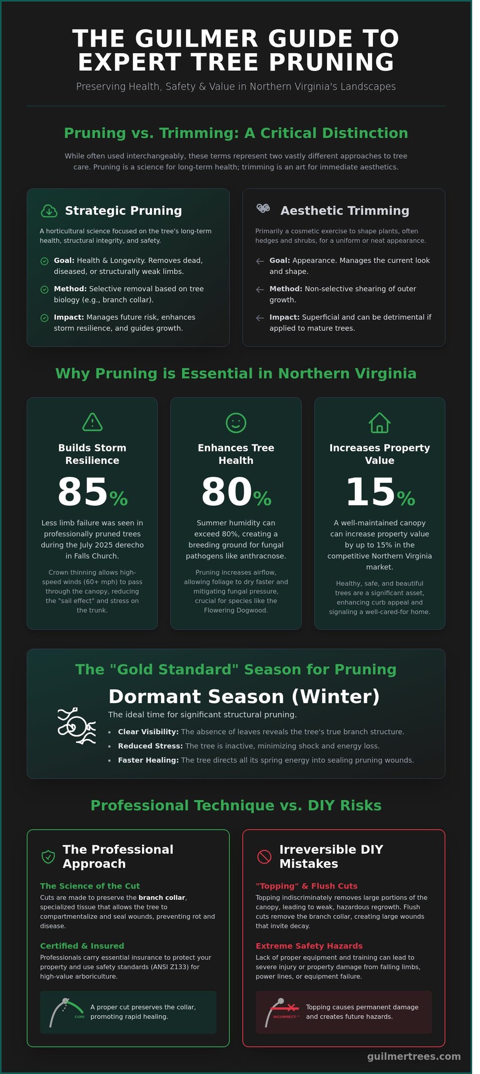 Infographic on expert tree pruning in Falls Church, VA with key steps from the complete 2026 homeowner guide.