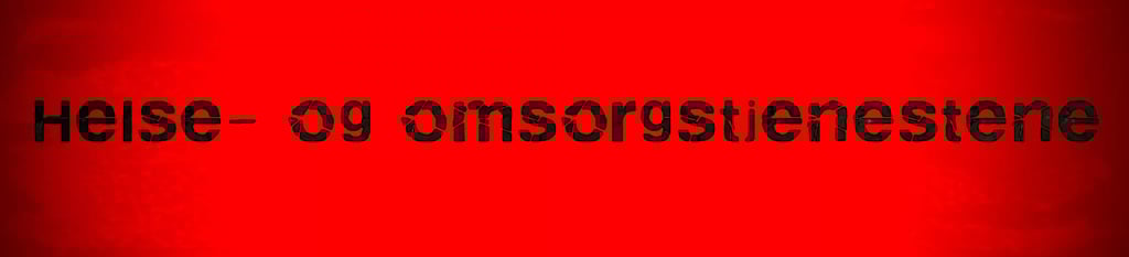 Statsforvalteren Helse, omsorg og sosialtjenester,Sofie Scott, Sara Cecilie Wilhelmsen Solheim,Hanne