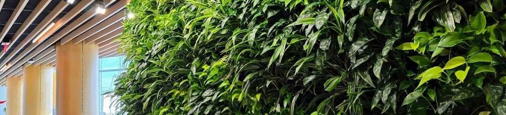 Wall of plants Grand Rapids airport