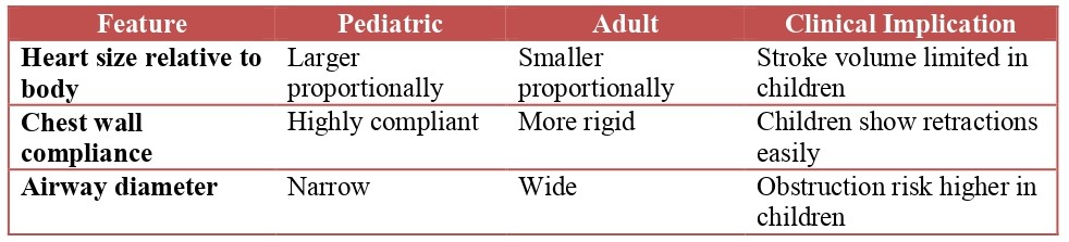 Structural Comparison of Pediatric and Adult Cardiopulmonary System