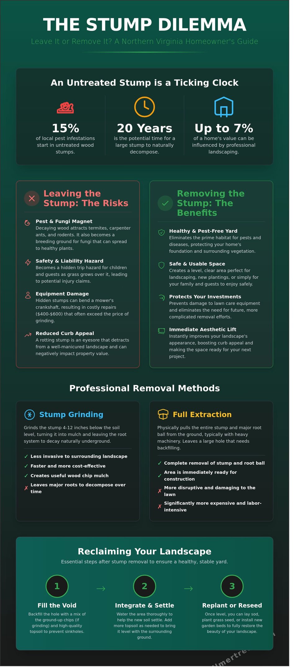 Infographic guiding Falls Church homeowners on whether to leave a stump or remove it for safety and landscape health.