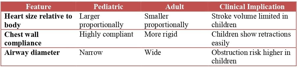 Structural Comparison of Pediatric and Adult Cardiopulmonary System
