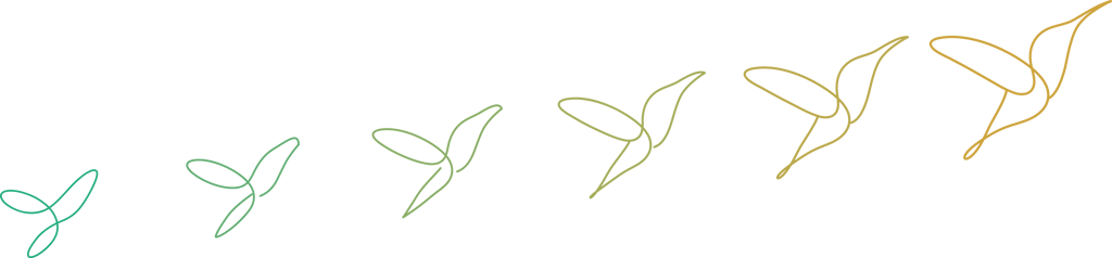 représentation graphique de l'évolution d'un projet, par l'envol du colibri
