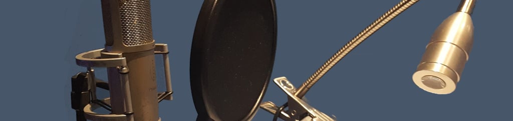 Curso de Especialización Actor de Doblaje