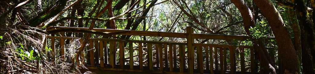 Vista panorámica de Taganana y la playa de Benijo en el Parque Rural de Anaga, Tenerife, ideal para rutas en furgoneta camper