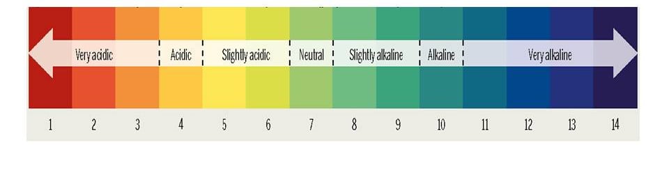 ph scale shows alkaline water range