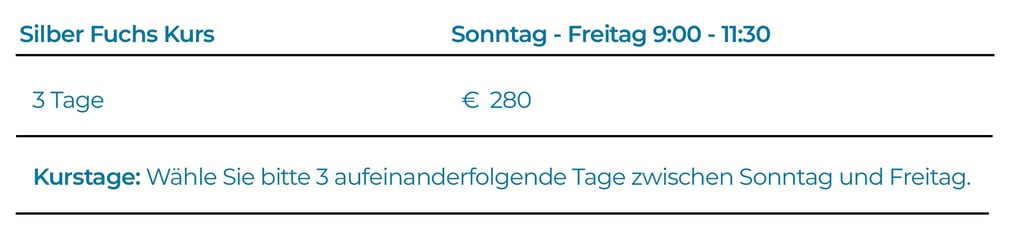 Ski Kurs für 60+ Jährige in Seefeld