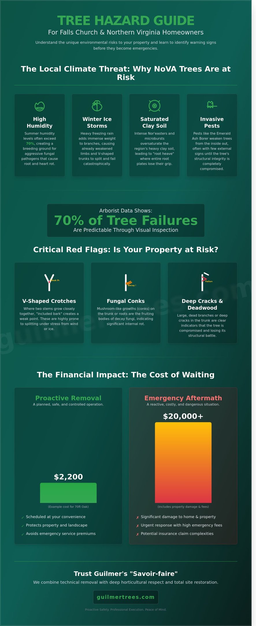 Infographic on expert tree removal in Falls Church, VA for the 2026 homeowner’s guide to safe, professional service.