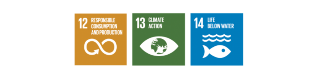 SDG 12 SDG 13 SDG 14