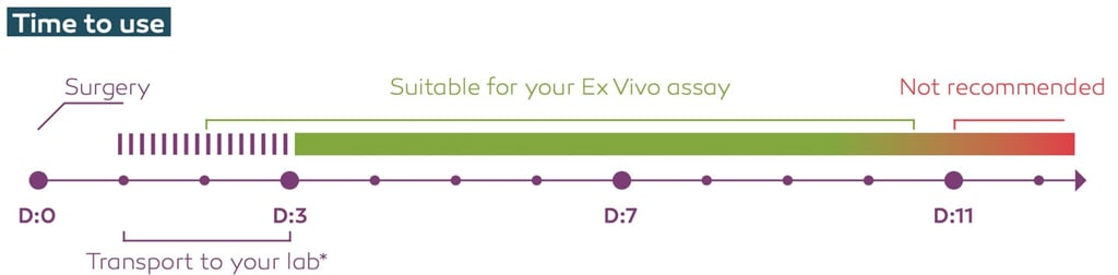 CTIBIOTECH Ex Vivo human skin kit transport from biobank
