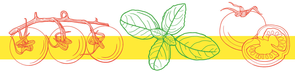 Pasta ingredients line drawing