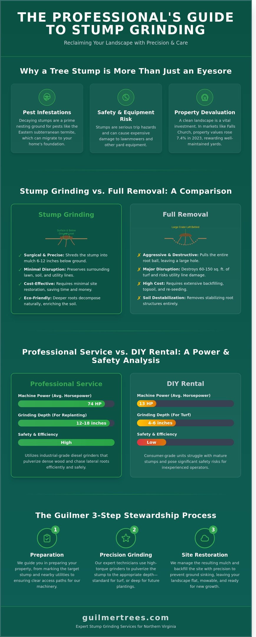 Infographic on professional stump grinding services in Falls Church, VA with a complete homeowner guide.