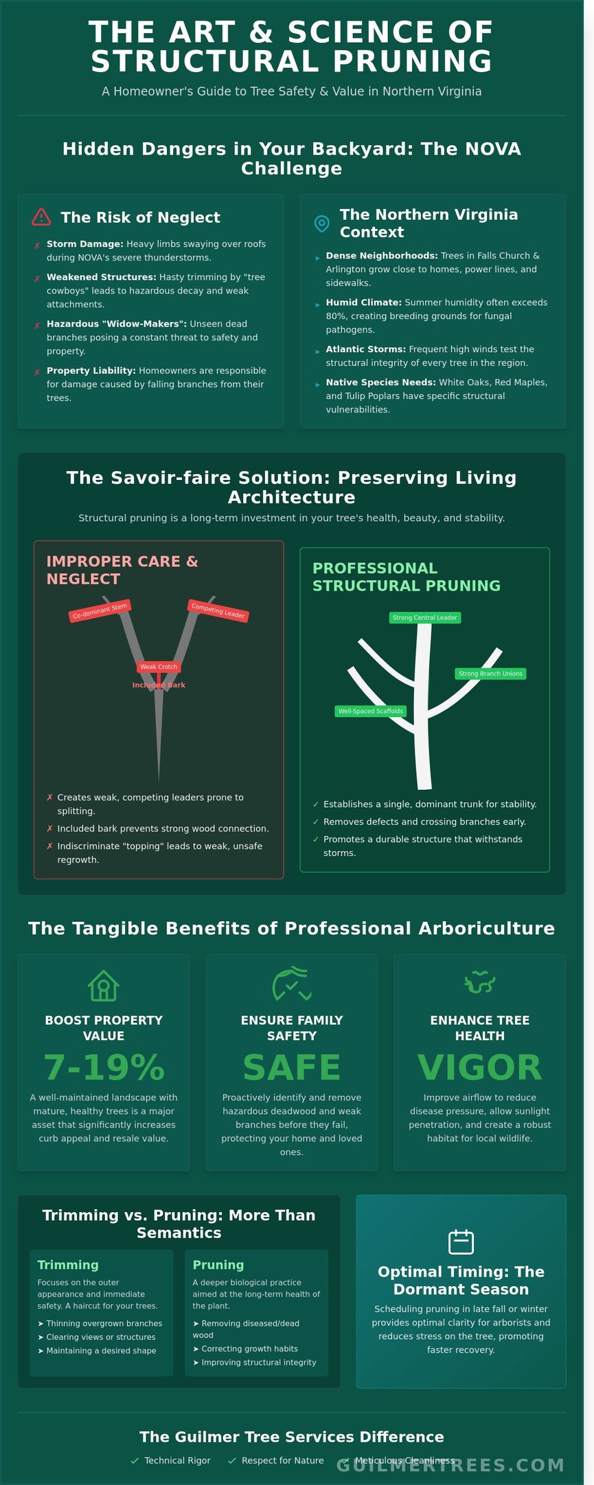 Infographic on expert tree trimming in Northern Virginia highlighting structural care for Falls Church properties.