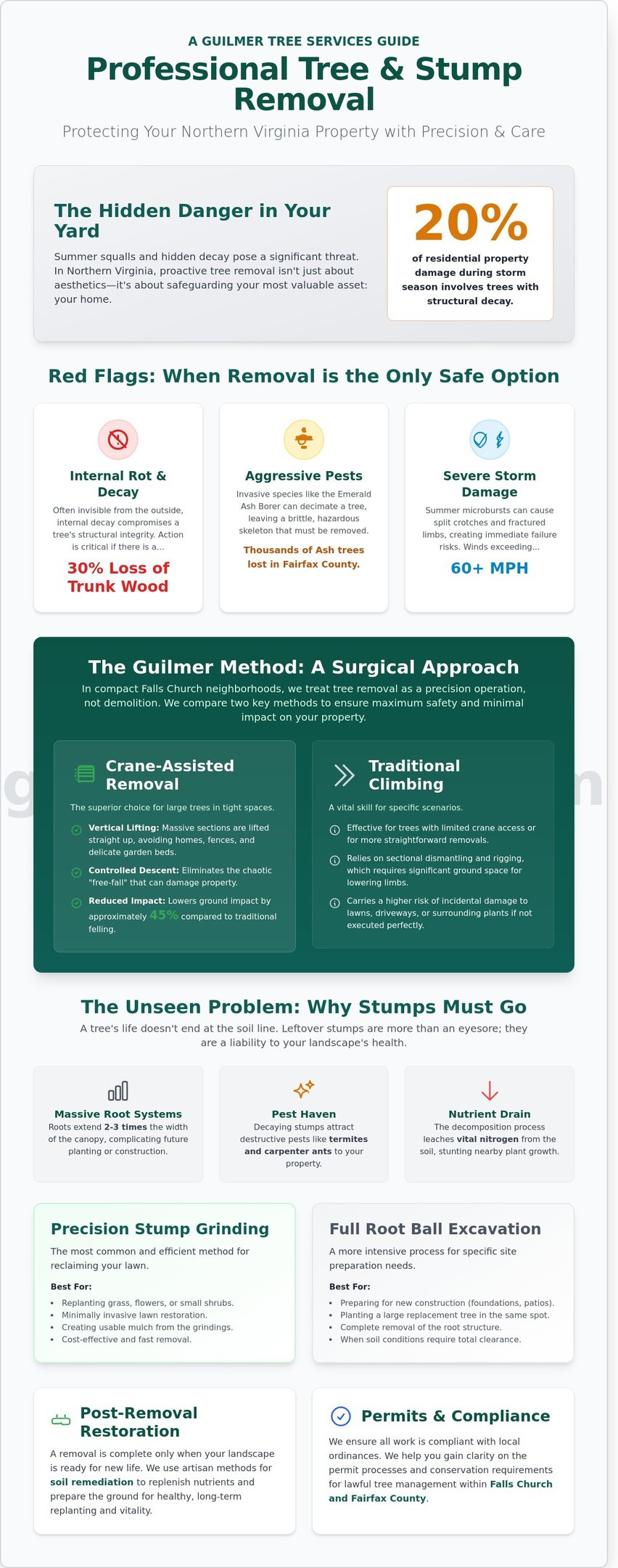 Infographic on professional tree and stump removal in Falls Church, VA with guidance for local homeowners.