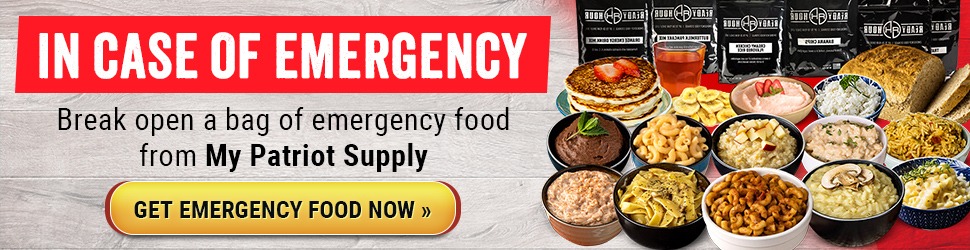 4-week emergency food supply