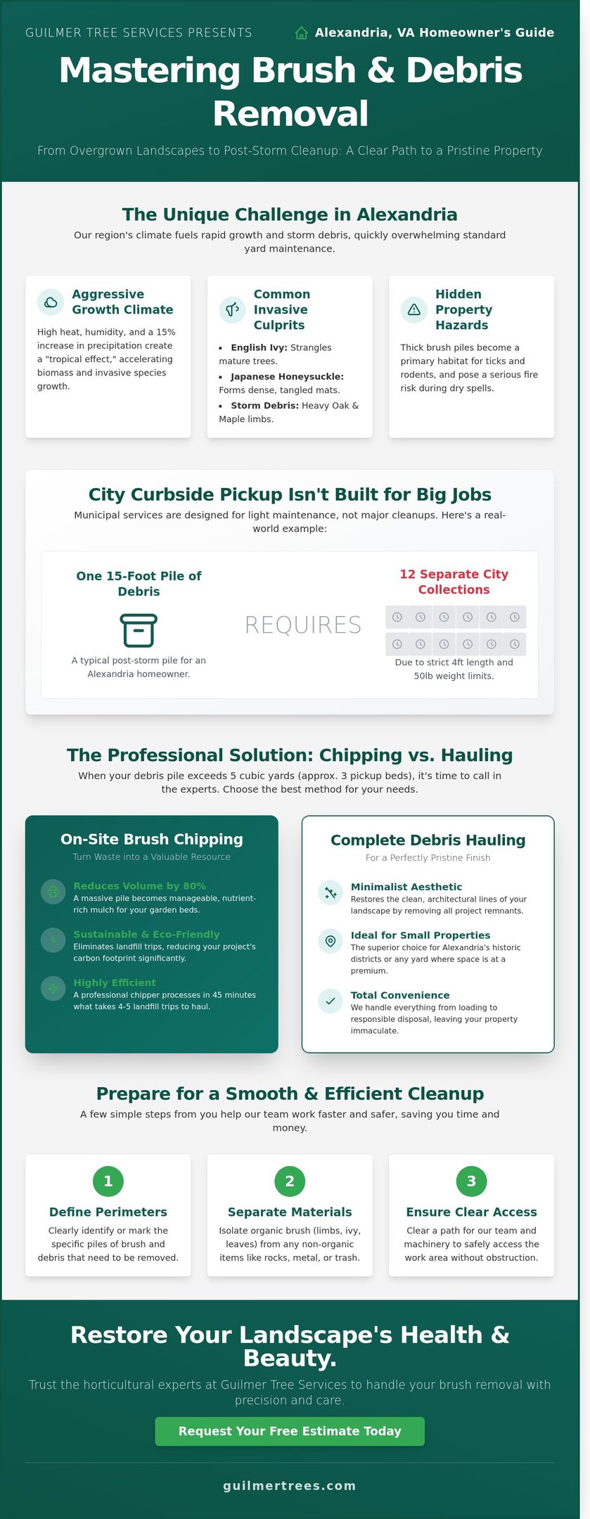 Infographic on professional brush removal in Alexandria, VA with key steps from a homeowner’s guide.